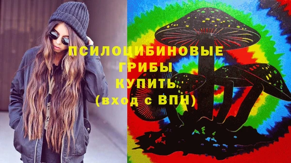 сатива Арсеньев