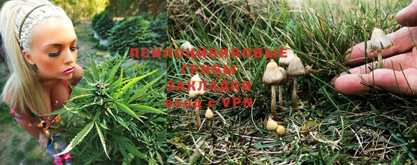 ALPHA PVP Балабаново