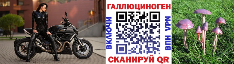Галлюциногенные грибы Cubensis как найти закладки Разумное